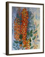 Australian Flower-Marian Ellis Rowan-Framed Giclee Print