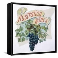 Australian Grapes-null-Framed Stretched Canvas