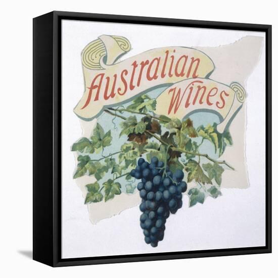 Australian Grapes-null-Framed Stretched Canvas