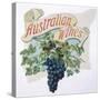 Australian Grapes-null-Stretched Canvas