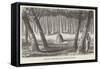 Australian Grave and Carved Trees-null-Framed Stretched Canvas