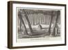 Australian Grave and Carved Trees-null-Framed Giclee Print