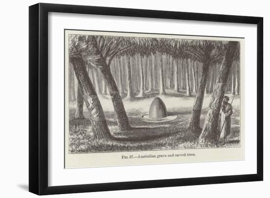 Australian Grave and Carved Trees-null-Framed Giclee Print