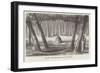 Australian Grave and Carved Trees-null-Framed Giclee Print