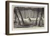 Australian Grave and Carved Trees-null-Framed Giclee Print