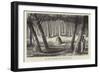 Australian Grave and Carved Trees-null-Framed Giclee Print