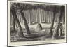 Australian Grave and Carved Trees-null-Mounted Giclee Print