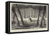 Australian Grave and Carved Trees-null-Framed Stretched Canvas