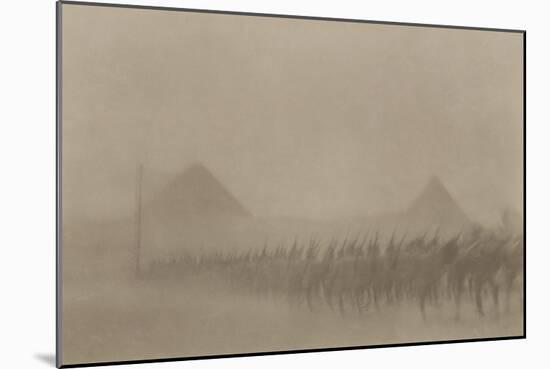 Australian Infantry Marching During a Dust Storm, Which Is known in Egypt as a 'Khamseen', 1915-null-Mounted Giclee Print