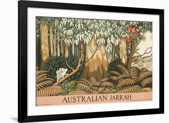 Australian Jarrah Travel Poster-null-Framed Giclee Print