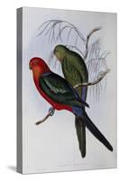 Australian King Parrot (Alisterus Scapularis) (1804-1881) and Henry Constantine Richter (1821-1902)-John Gould-Stretched Canvas