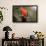 Australian King Parrot-Howard Ruby-Framed Photographic Print displayed on a wall