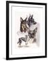 Australian Koolies-Barbara Keith-Framed Giclee Print