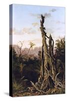 Australian Landscape-Charles E Gordon Frazer-Stretched Canvas