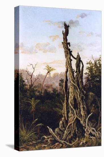 Australian Landscape-Charles E Gordon Frazer-Stretched Canvas