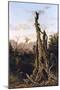 Australian Landscape-Charles E Gordon Frazer-Mounted Art Print