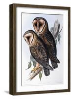 Australian Masked-Owl (Strix Personata)-John Gould-Framed Giclee Print