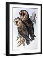 Australian Masked-Owl (Strix Personata)-John Gould-Framed Giclee Print