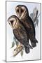 Australian Masked-Owl (Strix Personata)-John Gould-Mounted Giclee Print