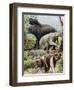 Australian Megafauna-null-Framed Photographic Print