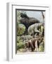 Australian Megafauna-null-Framed Photographic Print