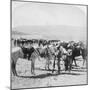 Australian Mounted Rifles after a Skirmish at the Modder River, South Africa, January 1900-Underwood & Underwood-Mounted Giclee Print