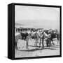 Australian Mounted Rifles after a Skirmish at the Modder River, South Africa, January 1900-Underwood & Underwood-Framed Stretched Canvas