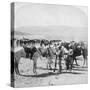 Australian Mounted Rifles after a Skirmish at the Modder River, South Africa, January 1900-Underwood & Underwood-Stretched Canvas