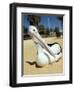 Australian Pelican (Pelecanus Conspicillatus), Shark Bay, Western Australia, Australia-Steve & Ann Toon-Framed Photographic Print