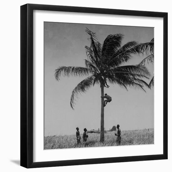 Australian Pilot Lisle Johnston Showing American B-17 Bomber "Frank Buck" How to Gather Coconuts-George Strock-Framed Photographic Print