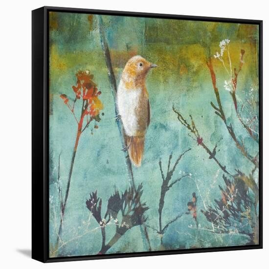 Australian Reed Warbler-Trudy Rice-Framed Stretched Canvas