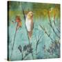 Australian Reed Warbler-Trudy Rice-Stretched Canvas