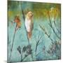 Australian Reed Warbler-Trudy Rice-Mounted Art Print
