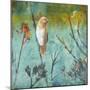 Australian Reed Warbler-Trudy Rice-Mounted Art Print