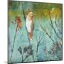 Australian Reed Warbler-Trudy Rice-Mounted Art Print