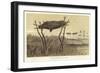 Australian Scaffold Burial-null-Framed Giclee Print