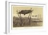 Australian Scaffold Burial-null-Framed Giclee Print