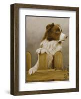 Australian Sheep Dog-John Silver-Framed Giclee Print