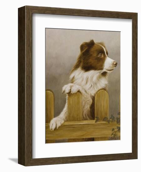Australian Sheep Dog-John Silver-Framed Giclee Print
