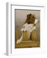 Australian Sheep Dog-John Silver-Framed Giclee Print