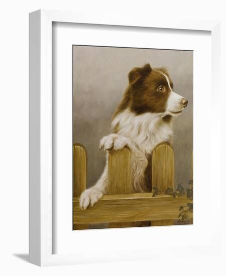 Australian Sheep Dog-John Silver-Framed Giclee Print