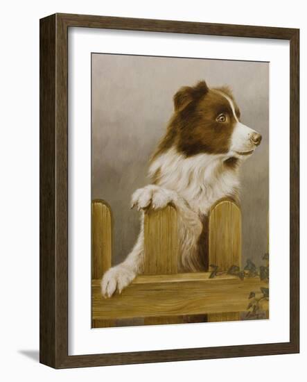 Australian Sheep Dog-John Silver-Framed Giclee Print