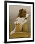 Australian Sheep Dog-John Silver-Framed Giclee Print