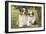 Australian Sheepdogs, Shepherd Dogs-null-Framed Photographic Print