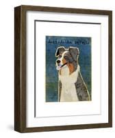 Australian Shepherd (Blue Merle)-John W^ Golden-Framed Art Print