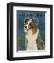 Australian Shepherd (Blue Merle)-John W^ Golden-Framed Giclee Print