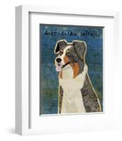 Australian Shepherd (Blue Merle)-John W^ Golden-Framed Giclee Print