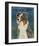 Australian Shepherd (Blue Merle)-John W^ Golden-Framed Giclee Print