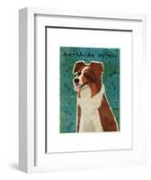 Australian Shepherd (Red)-John W^ Golden-Framed Art Print