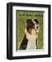 Australian Shepherd-John W^ Golden-Framed Giclee Print